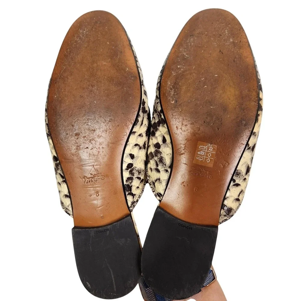 COACH Scotty Python Shoes Womens‎ 6 Beige Snake Leather Loafer Mules Slip On
